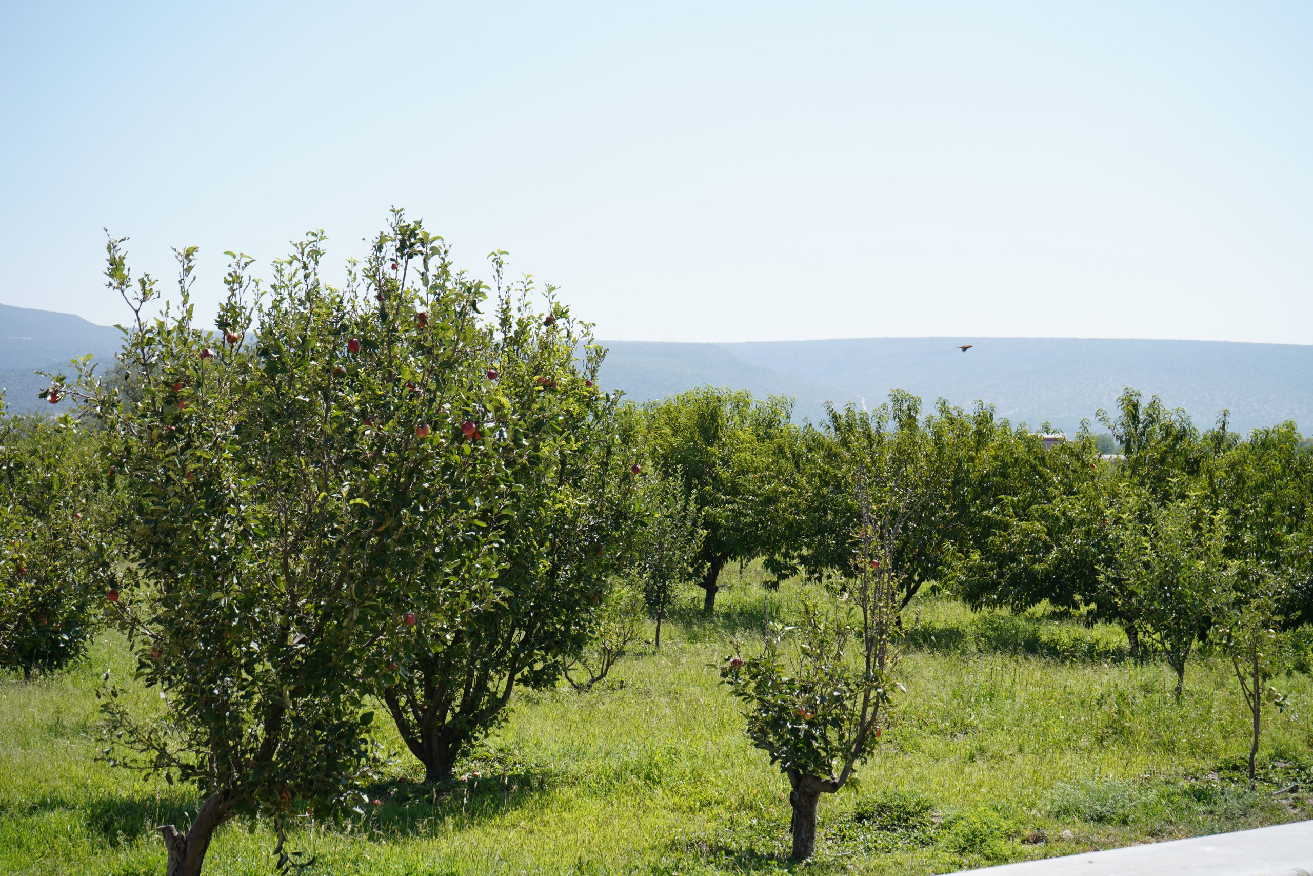 blog image