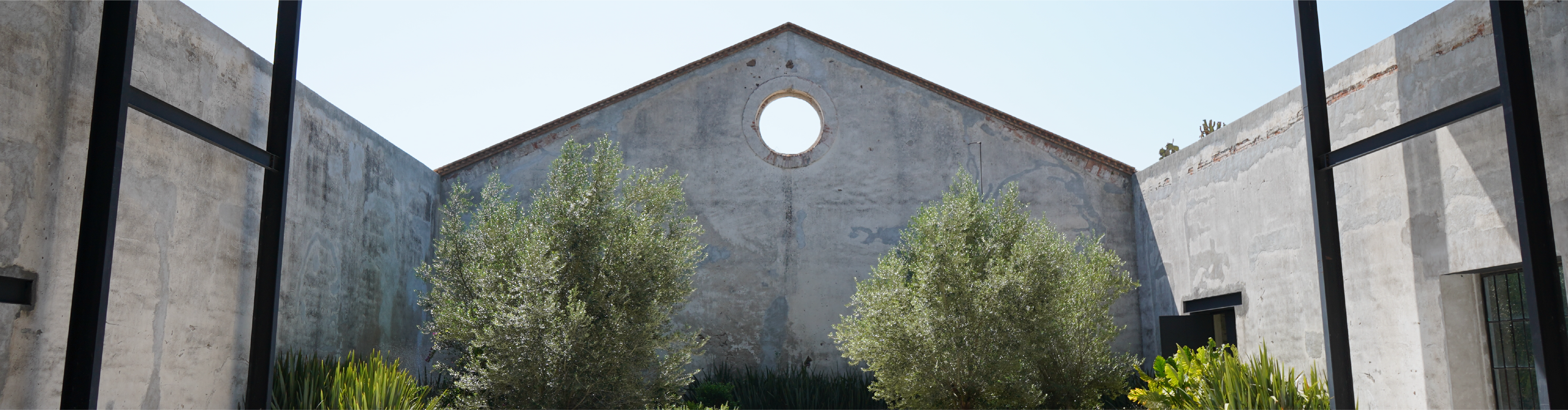 blog image